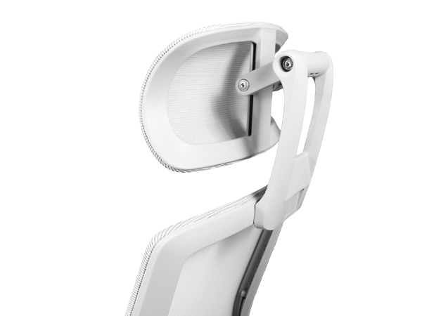 imagen_2025-05-27_102007576