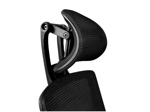 imagen_2025-05-27_102855541